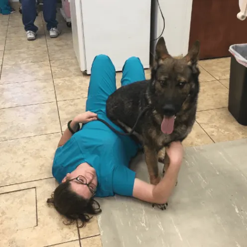 Team Member Laying on the Floor Next to a Dog Sitting